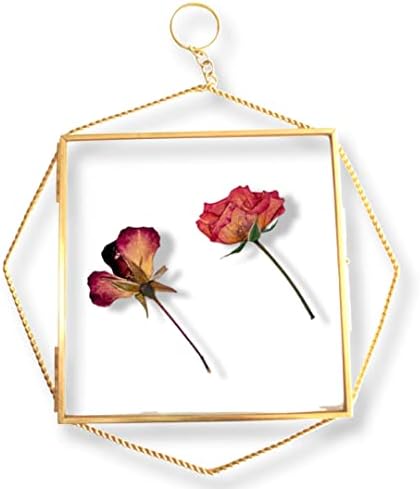Daal Double стаклена рамка за притиснати цвеќиња | Чиста стаклена рамка притиснато цветна рамка Надворешна 8x8 инчи внатрешна