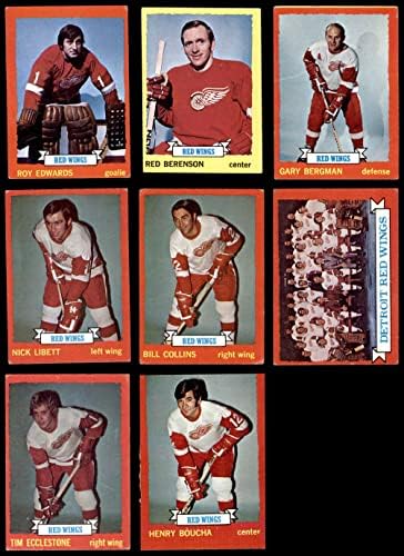 1973-74 Топс Детроит Црвените крилја во близина на екипата сет Детроит Ред Вингс ВГ Црвени крилја