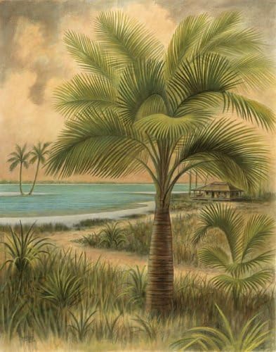 Wallshatspeak 8 ”x 10” островски палми wallидни отпечатоци за дома, декор на сцената на плажа за бања или канцеларија, наутички/украси