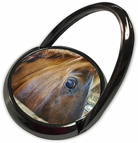 3drose Слика на изненаден изглед на коњско лице - Телефонски ringsвони