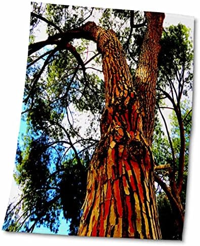 3drose Слика на шарено стебло на дрво што се врти нагоре во октомвриското небо - крпи