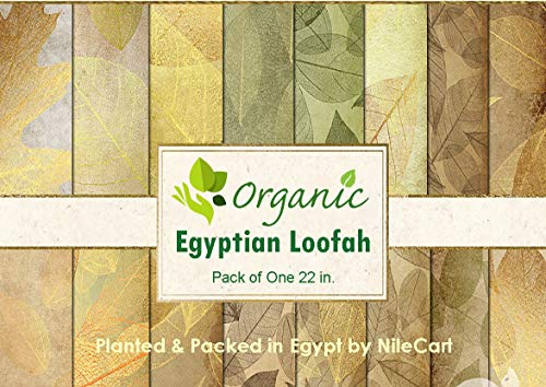 NileCart Природно органски египетски лофонски сунѓери, големи ексфолирачки туш, лофуми за тело, бања за убавина и зрачна кожа