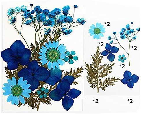 Csyanxing вистински сушени цветни растенија за накит со епоксидна смола од свеќа што прават занаетчиски DIY украсени картички за