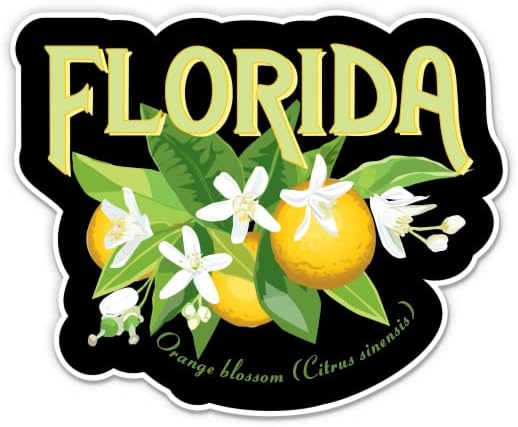 Налепница за цвеќиња од портокалови Флорида - налепница за лаптоп 3 - водоотпорен винил за автомобил, телефон, шише со вода - Декларида
