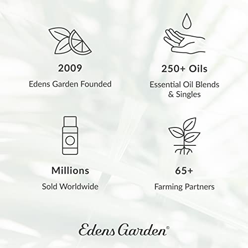 Градина Еденс Најдобро од најдоброто сет на есенцијално масло, чисто терапевтско одделение, 10 мл ролна