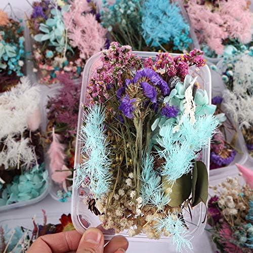 Генерички 6 кутии вистински притиснати природни сушени цвеќиња за правење на свеќа за мобилни телефони рачно изработени занаети епоксидни смола приврзоци ѓердан ?