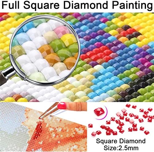 Дијамантски комплети за сликање за возрасни/деца 5D DIY дијамантска уметност боја со целосна квадратна дијамантска уметност шарени графити