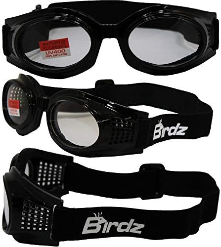 Очила за моторцикли за мотоцикли за очила за очила Birdz